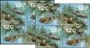 2024, EUROPA - Unterwasserfauna und -flora