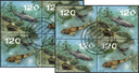 2024, EUROPA - Unterwasserfauna und -flora
