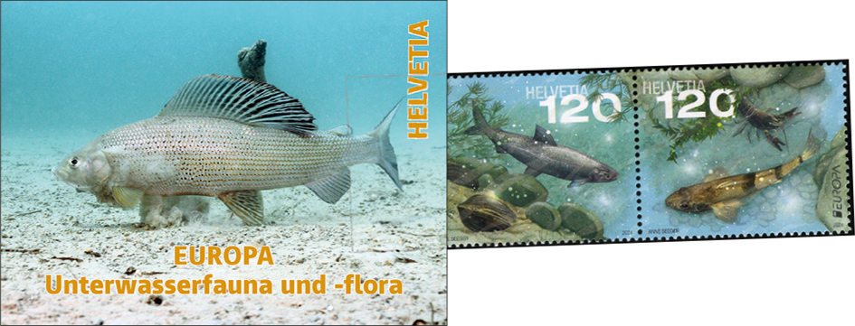 2024, EUROPA - Unterwasserfauna und -flora