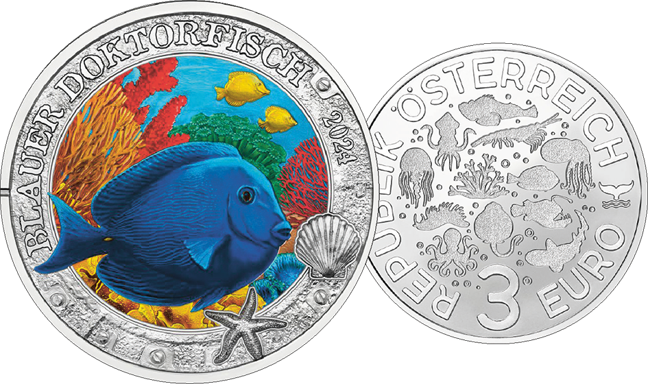 2024, Blauer Doktorfisch, Österreich