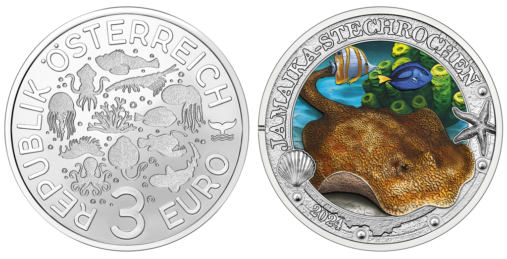 2024, Jamaika-Stechrochen, Österreich
