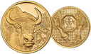 2025, Bison, Mongolei