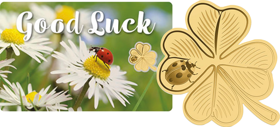 2025, Good Luck, Tschad