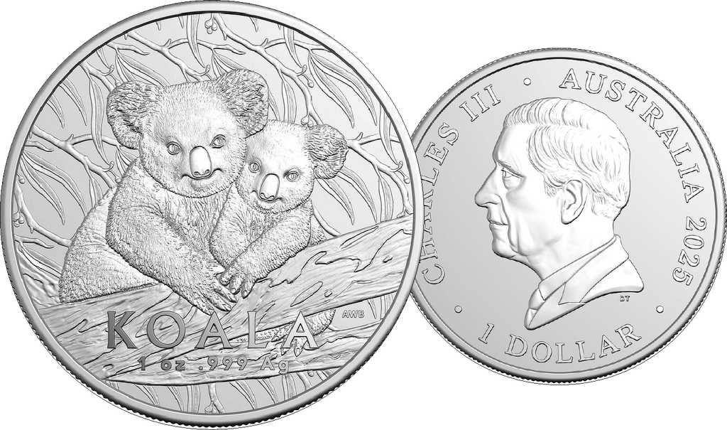2025, Koala, Australien