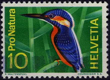 10 Rp. Eisvogel, "Schmale Druckverschiebung" der Druckfarben, sog. "Eisvogel mit Schneepelz" 