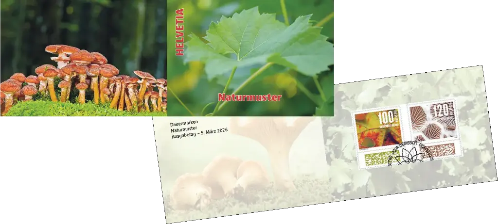 2026, Naturmuster