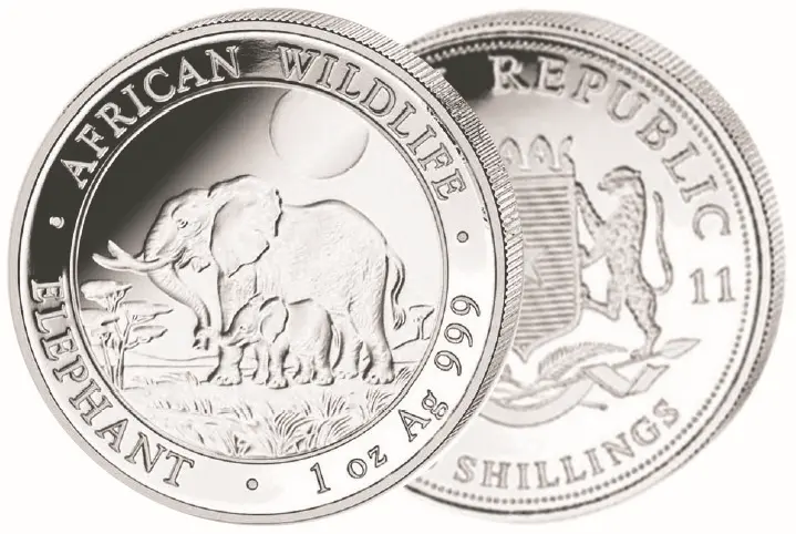 2011, Elefant, Somalia 