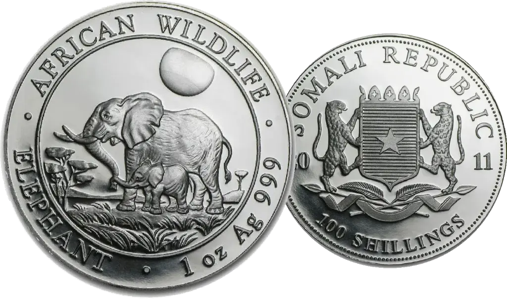 2011, Elefant, Somalia 