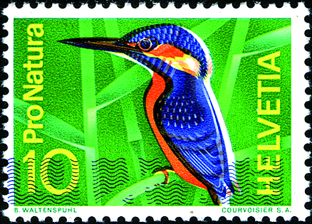 10 Rp. Eisvogel, &quot;Breite Druckverschiebung&quot; der Druckfarben, sog. &quot;Eisvogel mit Schneepelz&quot;