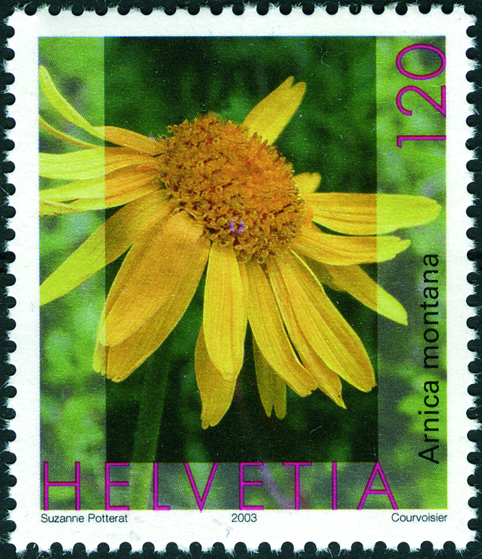 120 Rp. Arnika, Bergwohlverleih