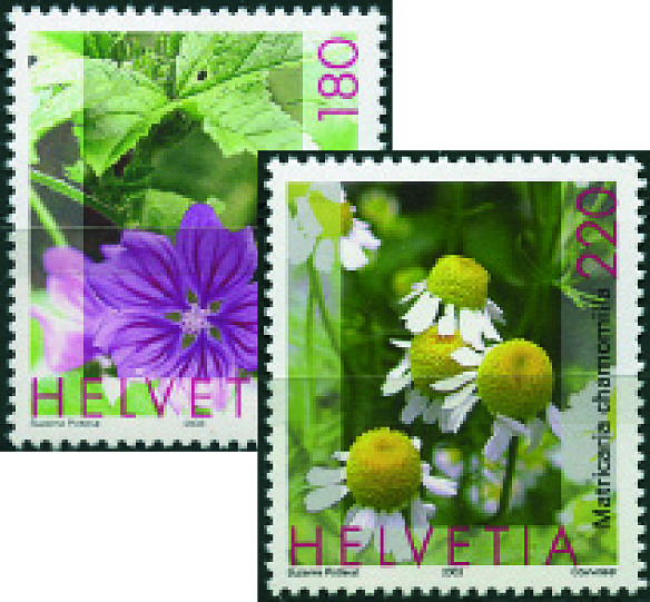 2003, Heilpflanzen