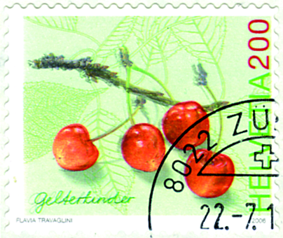 200 Rp. Kirsche, Gelterkinder, "Starke Verschiebung des ganzen Markenbilds", sog. schattierte Kirsche