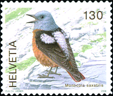 130 Rp. Steinrötel
