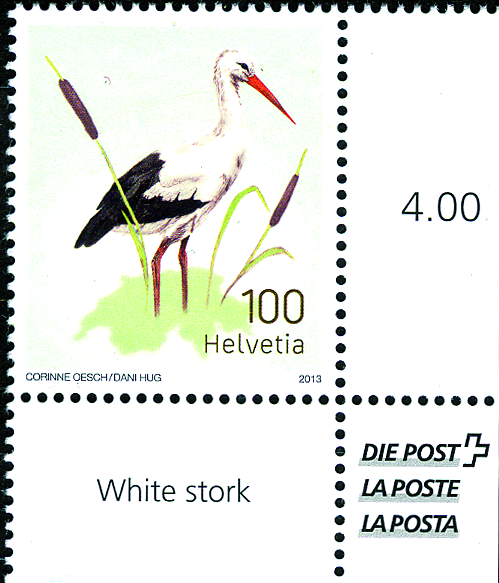 100 Rp. Weissstorch