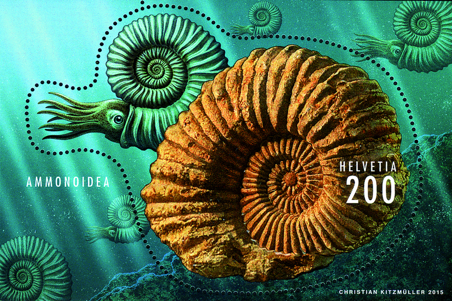 2015, Sonderblock Ammonit