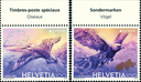2019, Europa - Vögel