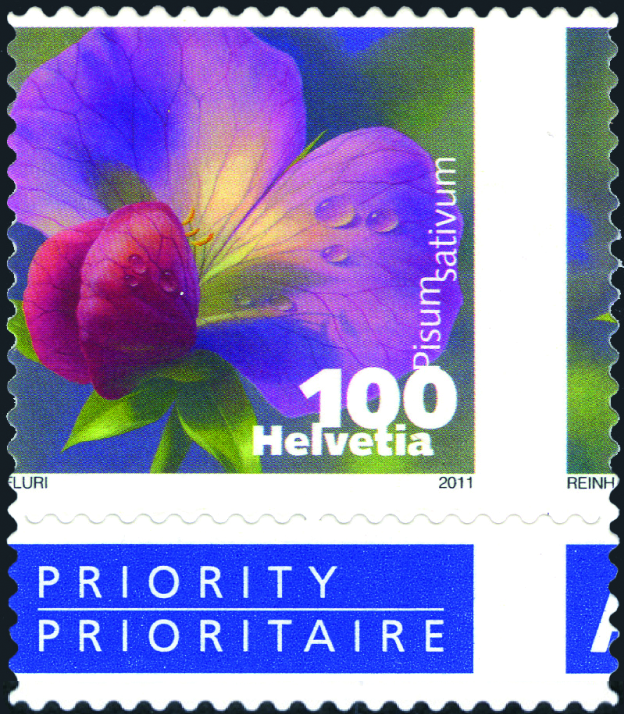 100 Rp. Kiefelerbse, "Starke Verschiebung des gesamten Markenbildes" um 6 Millimeter nach links, dadurch falsche Positionierung der Zähnung durch das Markenbild