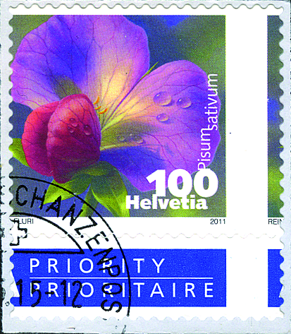 100 Rp. Kiefelerbse, "Starke Verschiebung des gesamten Markenbildes" um 6 Millimeter nach links, dadurch falsche Positionierung der Zähnung durch das Markenbild