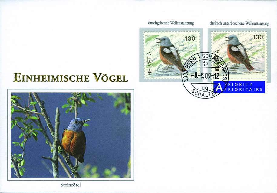 2009, Steinrötel Combo