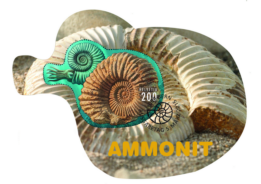 2015, Ammonit