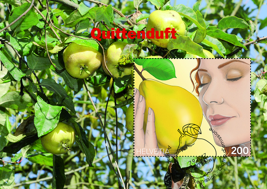 2017, Quittenduft
