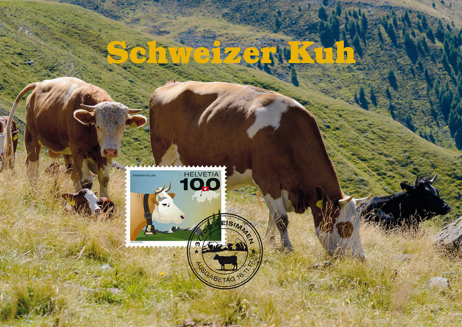 2017, Schweizer Kuh