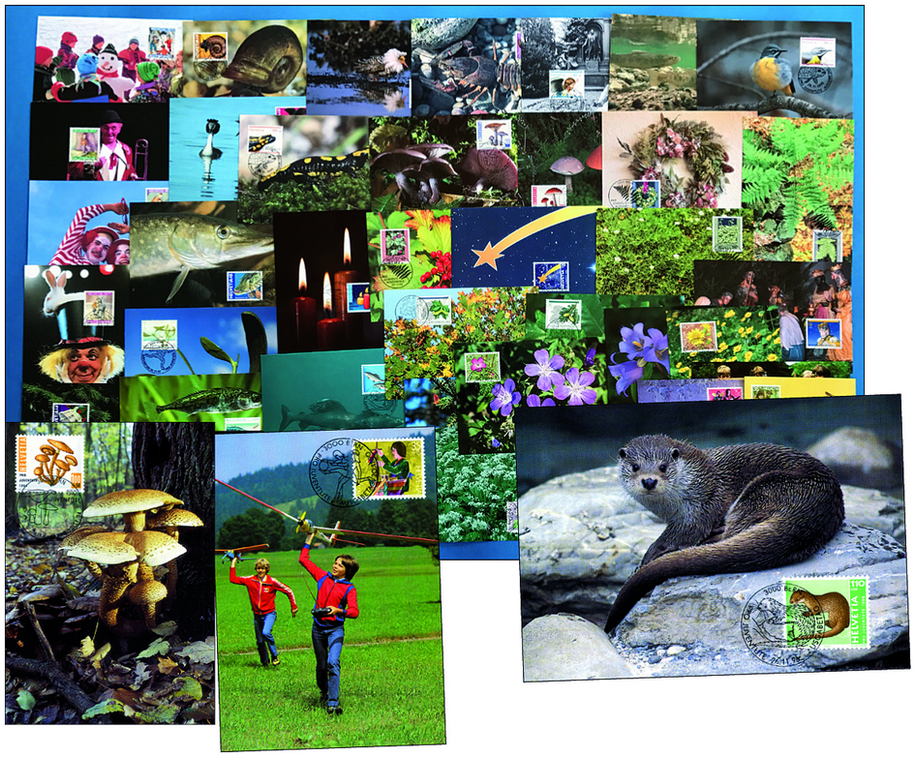 1982-1997, Juventute-Kollektion mit über 75 inoffizielle Maximumkarten