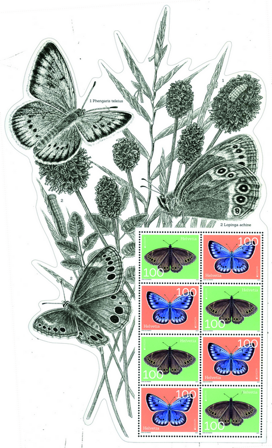 2021, Europa-Bedrohte Wildtiere