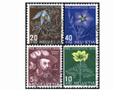 1949, Bildnis Niklaus Wengis und Alpenblumerbilder