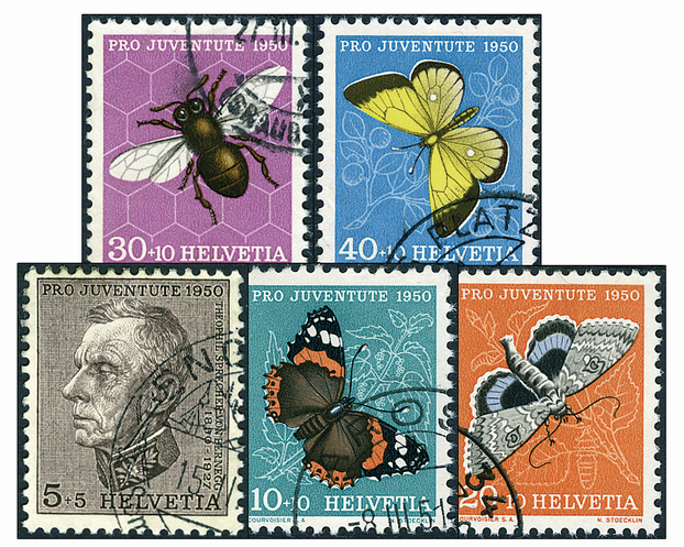 1950, Bildnis Theophil Sprechers von Bernegg und Insektenbilder