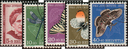1951, Bildnis Johanna Spyris und Insektenbilder