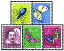 1956, Bildnis Carlo Madernos und Insektenbilder