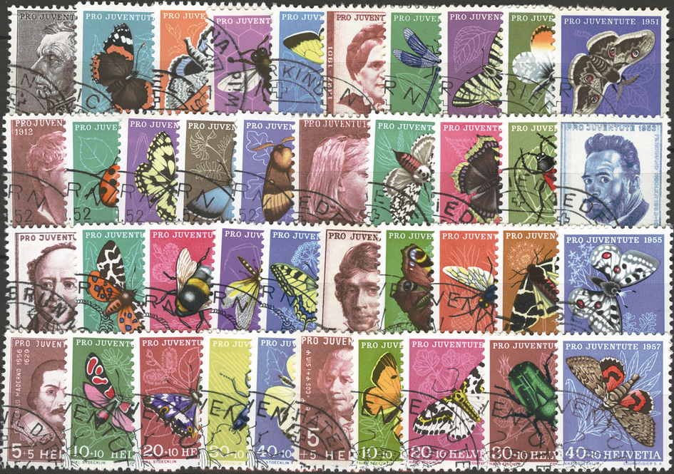 1950-1957, Pro Juventute