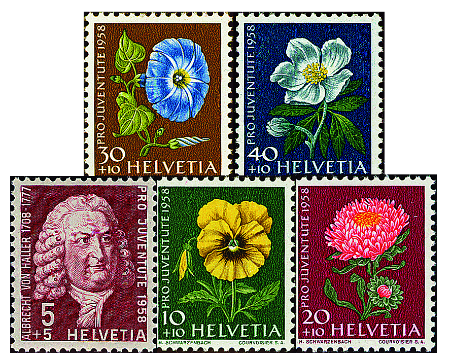 1958, Bildnis Albrecht von Hallers, Wiesen- und Gartenblumen