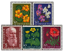 1959, Bildnis Karl Hiltys, Wiesen- und Gartenblumen