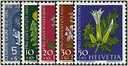 1960, Bildnis Alexandre Calames, Wiesen- und Gartenblumen