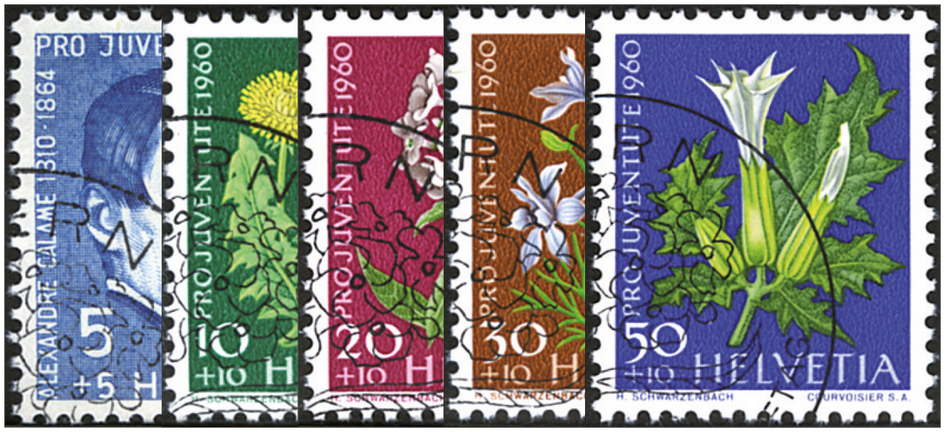1960, Bildnis Alexandre Calames, Wiesen- und Gartenblumen