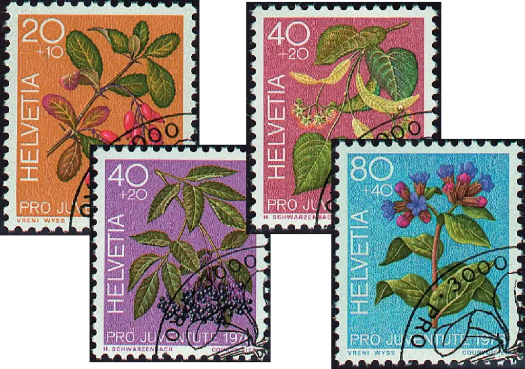 1976, Heilpflanzen des Waldes