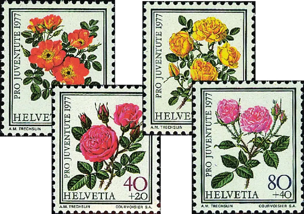1977, Rosen II