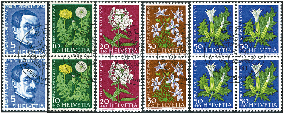 1960, Bildnis Alexandre Calames, Wiesen- und Gartenblumen
