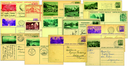 1930-1990, Kollektion von 15 Bildchen-Postkarten