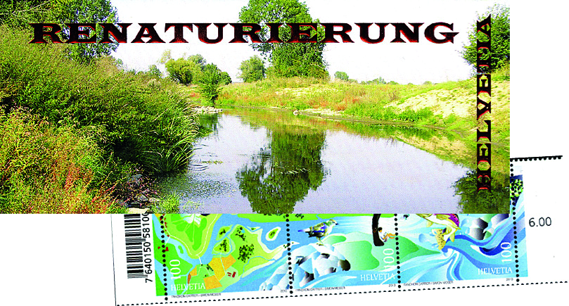 2013, Renaturierung