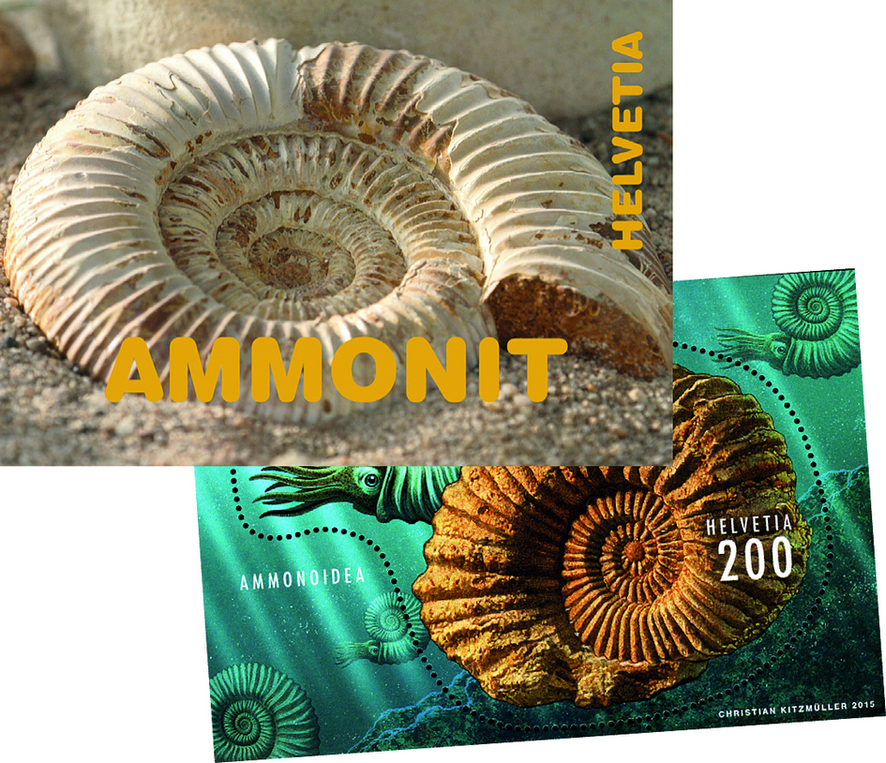 2015, Ammonit