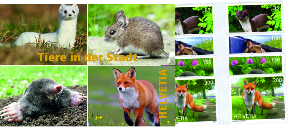 2021, Tiere in der Stadt, 4 Markenhefte