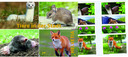 2021, Tiere in der Stadt, 4 Markenhefte