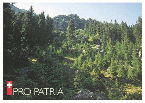 1998, Bödermeren SZ