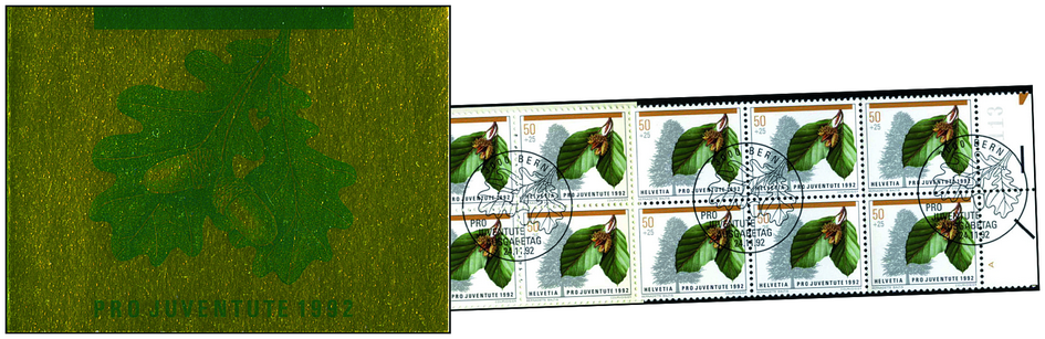 1992, Rotbuche-gold