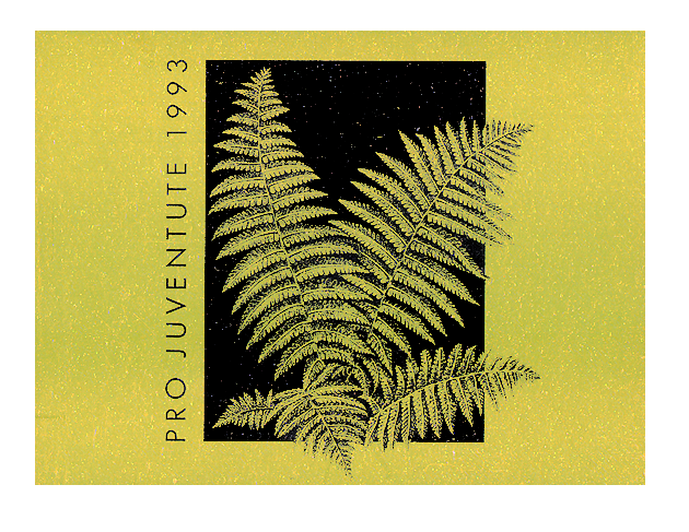 1993, Farn-gold