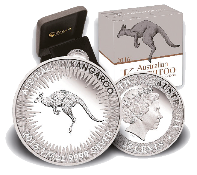 2016, Australien, Känguru