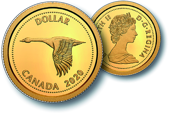 Wildgans, Canada